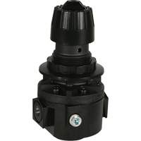 Wilkerson Regulator R26, 3/8" NPT, 300 psi Max. PSI, Standard FMT Sales Ltd