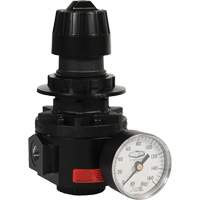Wilkerson Regulator R26, 1/2" NPT, 300 psi Max. PSI, Standard FMT Sales Ltd