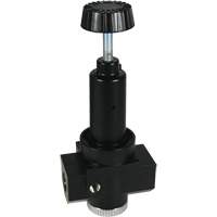 Wilkerson High Flow Regulator R30, 3/4" NPT, 300 psi Max. PSI, Standard FMT Sales Ltd
