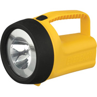 EverReady&reg; Readyflex Floating Lantern, LED, 80 Lumens, D Batteries FMT Sales Ltd