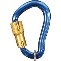 Fall Arrest Connectors