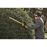 MAX* Hedge Trimmer, 22", 20 V, Battery Powered FMT Sales Ltd