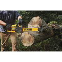 Scie &agrave; chaîne sans fil Flexvolt, 16", &agrave; pile, 60 V FMT Sales Ltd