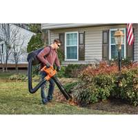 Souffleur/aspirateur/broyeur de feuilles 3-en-1 VacPack, Vitesse d'air 250 mi/h, &eacute;lectrique FMT Sales Ltd