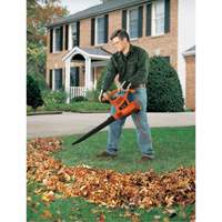 Souffleur/aspirateur/broyeur de feuilles, Vitesse d'air 210 mi/h, &eacute;lectrique FMT Sales Ltd