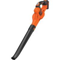 Ensemble de balayeuse sans fil Max* PowerBoost, 20 V, Vitesse d'air 130 mi/h, &agrave; pile FMT Sales Ltd