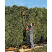 Ensemble de taille-haie sur perche sans fil Max* FMT Sales Ltd