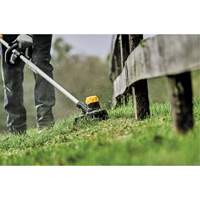 Max* Cordless String Trimmer, 13", Battery Powered, 20 V FMT Sales Ltd