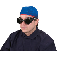 Lunettes &agrave; coque, Lentille 5,0, Anti-&eacute;gratignures, Ventilation Ferm&eacute; FMT Sales Ltd