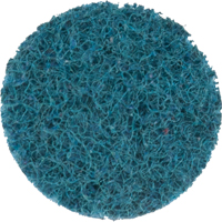 Scotch-Brite Roloc Surface Conditioning Disc, 1" Dia. FMT Sales Ltd