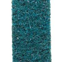 Courroie de conditionnement de surface Scotch-Brite FMT Sales Ltd