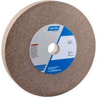 Bench Grinding Wheel, 10" x 1", 1-1/4" Arbor, 1, Aluminum Oxide FMT Sales Ltd