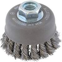 ALLSTEEL Wire Brush, 3" Dia. x 5/8"-11 Arbor FMT Sales Ltd