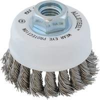 ALLSTEEL Wire Brush, 3" Dia. x 5/8"-11 Arbor FMT Sales Ltd