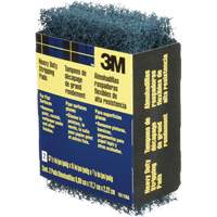 Heavy-Duty Stripping Pads, Aluminum Oxide, 3-1/2" x 5", Coarse Grit FMT Sales Ltd