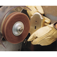 Scotch-Brite High Strength Discs (Aluminum Oxide), 6" Dia., Medium Grit, Aluminum Oxide FMT Sales Ltd