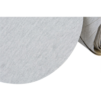 426U Stikit Paper Disc Roll, 6" Dia., 100 Grit, Silicon Carbide FMT Sales Ltd