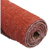 Cartouche de ruban abrasif en rouleau Standard Abrasives FMT Sales Ltd