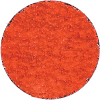 Disques en tissu &agrave; remplacement rapide Blaze R980P, 2" dia., Grain 36, C&eacute;ramique d'alumine FMT Sales Ltd
