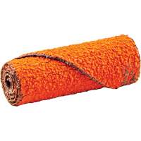 Cartouche de ruban abrasif en rouleau, 60 Grain, 1/2" dia., C&eacute;ramique d'alumine, 1-1/2" lo, 1/8" Dimension de l'arbre FMT Sales Ltd