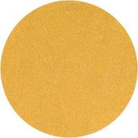 Yellow Hook & Loop Sanding Disc, 5" Dia., P220 Grit, Aluminum Oxide FMT Sales Ltd