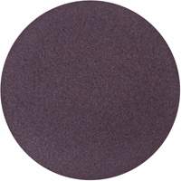 Disque de ponçage en tissu PSA Metalite, 10" dia., Grain 36, Oxyde d'aluminium FMT Sales Ltd