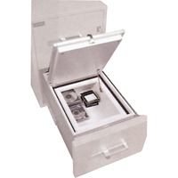 Data Protection Media Safes FMT Sales Ltd
