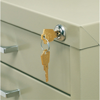 Lock Kit for 5-Drawer Cabinet FMT Sales Ltd
