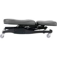 Flex III Ergonomic Chair FMT Sales Ltd