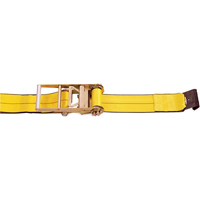 Tendeurs d'arrimage &agrave; cliquet, Crochet plat, 4" , 30' , Charge d'utilisation max. 5400 lb (2450 kg) FMT Sales Ltd
