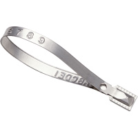 Scell&eacute;s Guard Lock, 8-3/8", M&eacute;tal, Scell&eacute; pour camion FMT Sales Ltd