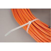 Cable Ties, 11" Long, 50 lbs. Tensile Strength, Natural FMT Sales Ltd