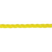 Corde jaune tress&eacute;e 1/4", Polypropyl&egrave;ne, 1300' FMT Sales Ltd