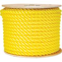 Corde jaune tress&eacute;e 5/8", Polypropyl&egrave;ne, 200' FMT Sales Ltd