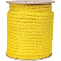 Corde jaune tress&eacute;e, Polypropyl&egrave;ne, 300' FMT Sales Ltd