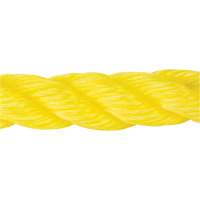 Corde jaune tress&eacute;e, Polypropyl&egrave;ne, 300' FMT Sales Ltd