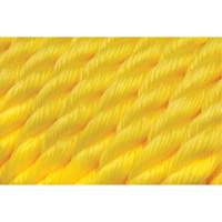 Corde jaune tress&eacute;e, Polypropyl&egrave;ne, 300' FMT Sales Ltd