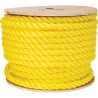Corde jaune tress&eacute;e, Polypropyl&egrave;ne, 144' FMT Sales Ltd