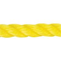 Corde jaune tress&eacute;e, Polypropyl&egrave;ne, 144' FMT Sales Ltd