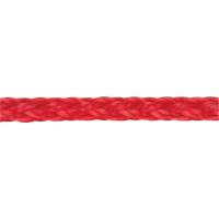 Corde rouge tress&eacute;e, Polypropyl&egrave;ne, 500' FMT Sales Ltd