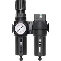 Manual Drain Filter, Regulator & Coalescing Filter with Standard Bowl Modulair 300, 1/4" NPT, 150 PSI, 5.1 fl. oz. Capacity FMT Sales Ltd