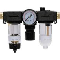 Filter, Regulator & Lubricator Modulair 200, 1/4" NPTF FMT Sales Ltd