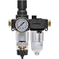 Filter/Regulator & Lubricator with Gauge Modulair 200, 1/4" NPTF FMT Sales Ltd