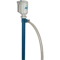 PFP Drum Pump, Polypropylene/PVDF, 22 GPM/40 GPM FMT Sales Ltd