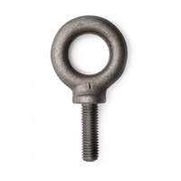 Eye Bolt, 5/8" Dia., 1-3/4" L, 4000 lbs. (2 tons) Capacity FMT Sales Ltd
