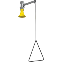 Vertical Supply Emergency Shower Station, Ceiling-Mount FMT Sales Ltd