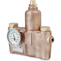 Thermostatic Mixing Valves, 19.5 GPM FMT Sales Ltd