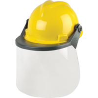 Ensembles de protection de la t&ecirc;te & du visage FMT Sales Ltd
