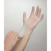 Gants jetables, Petit, Vinyle, 4 mils, Sans poudre, Blanc FMT Sales Ltd