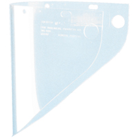 Faceshield Visors